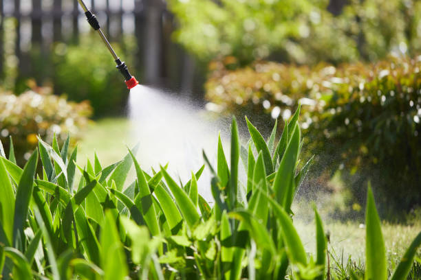 24/7 Emergency Ant Control experts in Goreville, IL