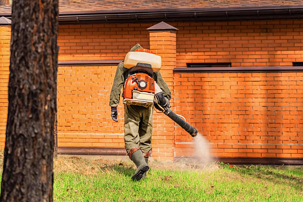 Trusted Bed Bug Control service in Goreville, IL - Nex Pest Control